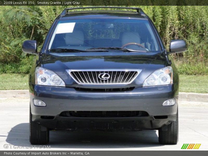 Smokey Granite / Light Gray 2009 Lexus RX 350