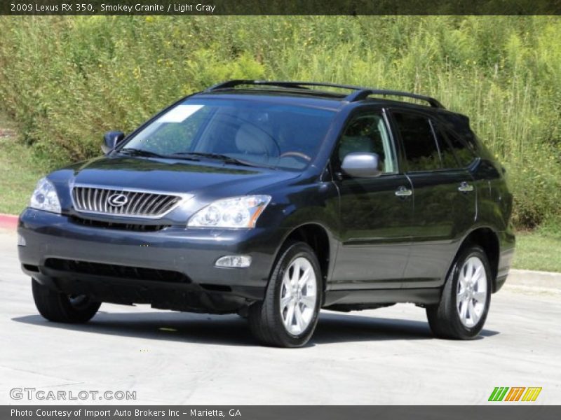 Smokey Granite / Light Gray 2009 Lexus RX 350