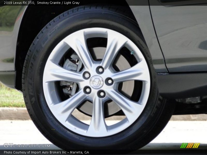 Smokey Granite / Light Gray 2009 Lexus RX 350