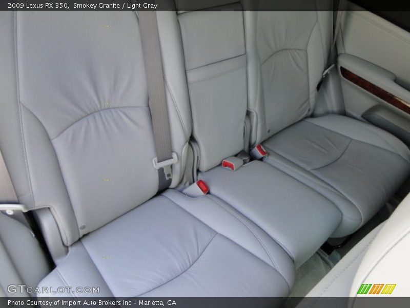 Smokey Granite / Light Gray 2009 Lexus RX 350