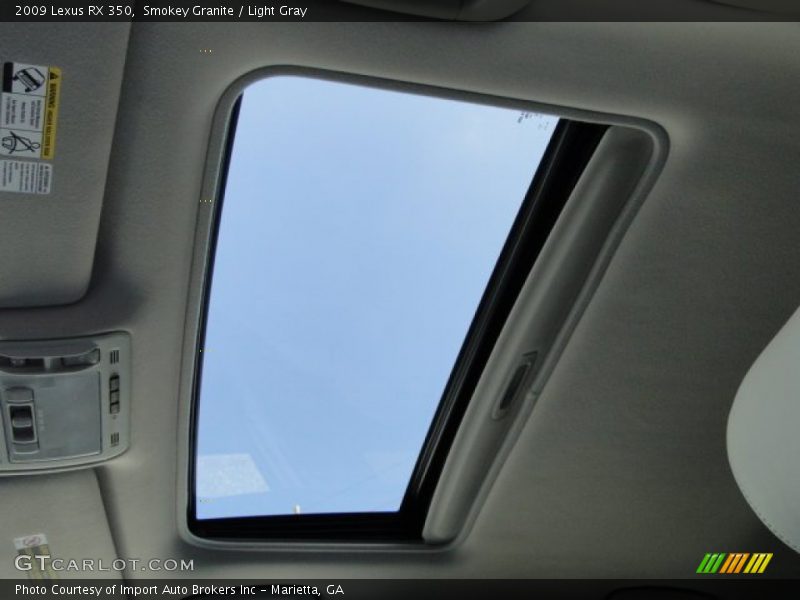 Smokey Granite / Light Gray 2009 Lexus RX 350