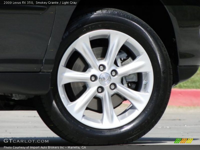 Smokey Granite / Light Gray 2009 Lexus RX 350