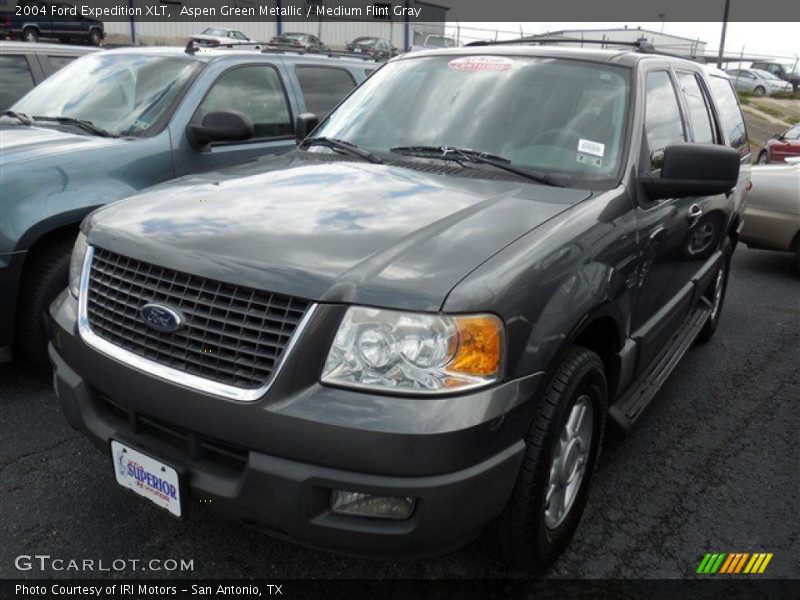 Aspen Green Metallic / Medium Flint Gray 2004 Ford Expedition XLT