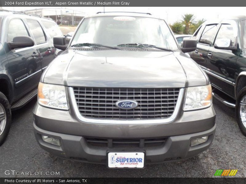 Aspen Green Metallic / Medium Flint Gray 2004 Ford Expedition XLT