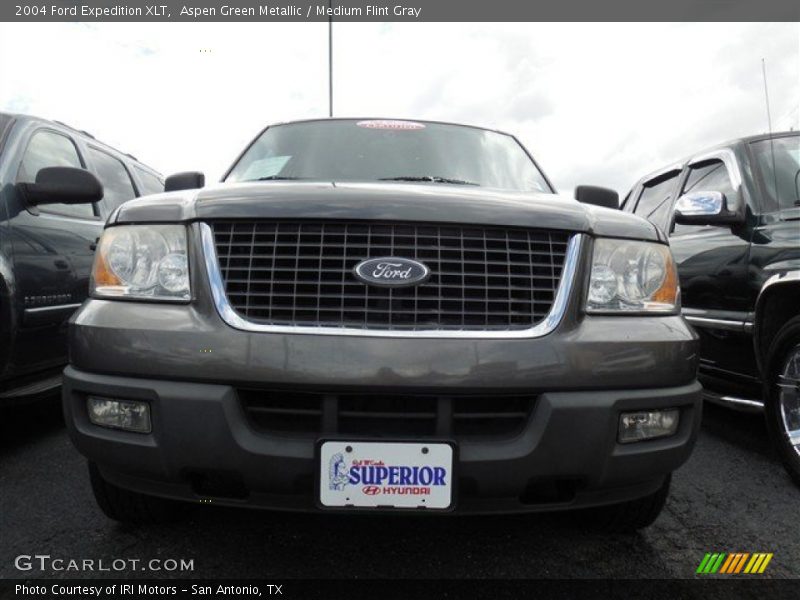 Aspen Green Metallic / Medium Flint Gray 2004 Ford Expedition XLT