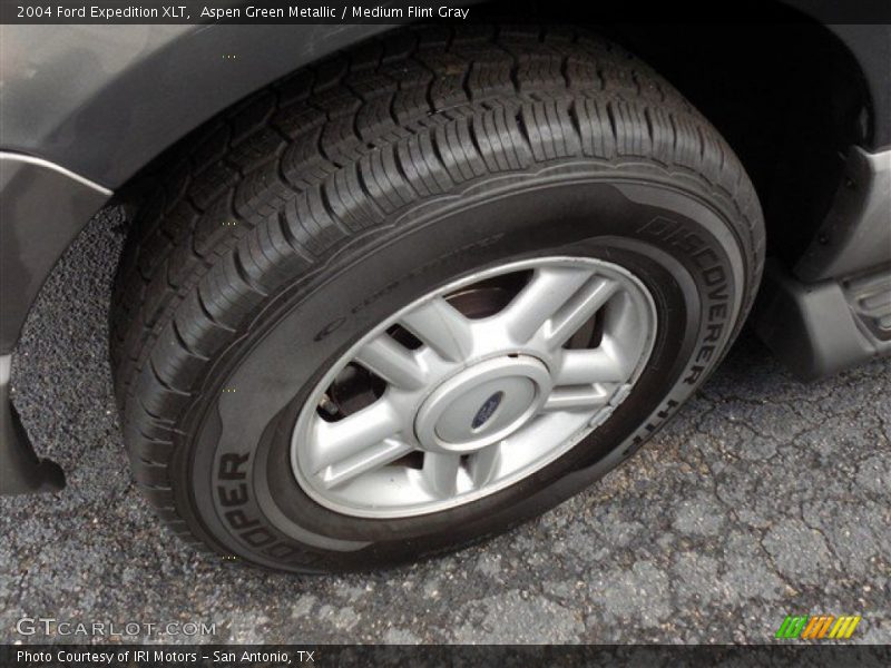 Aspen Green Metallic / Medium Flint Gray 2004 Ford Expedition XLT