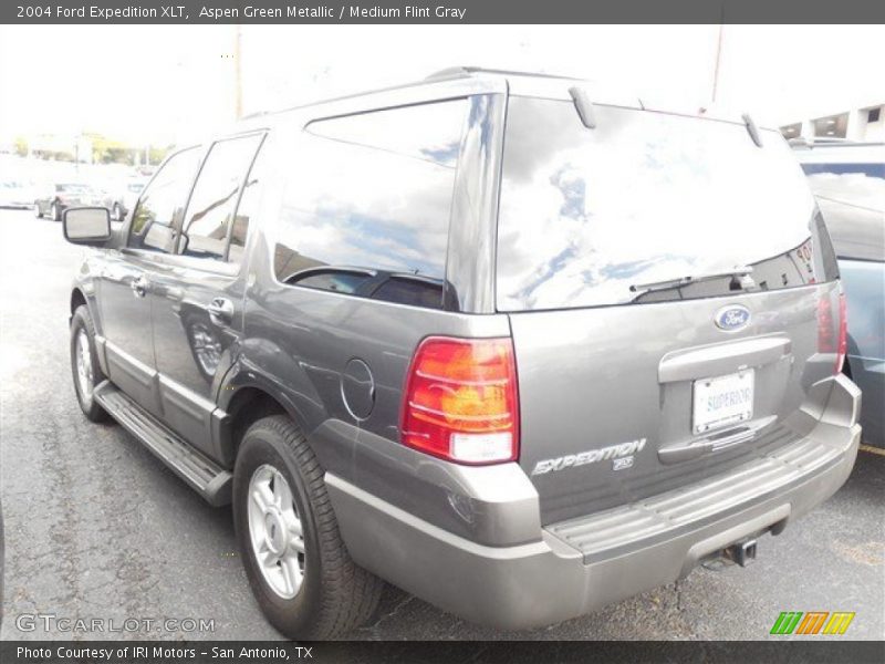 Aspen Green Metallic / Medium Flint Gray 2004 Ford Expedition XLT