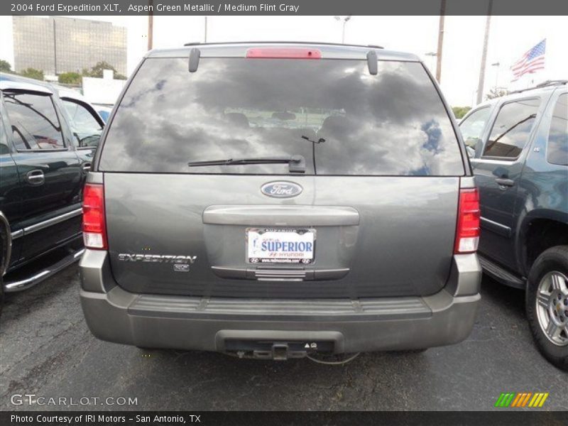 Aspen Green Metallic / Medium Flint Gray 2004 Ford Expedition XLT