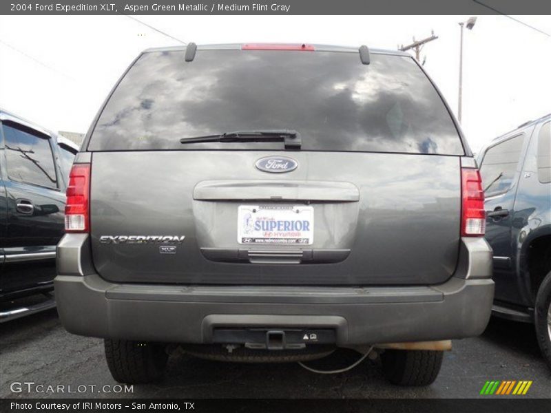 Aspen Green Metallic / Medium Flint Gray 2004 Ford Expedition XLT