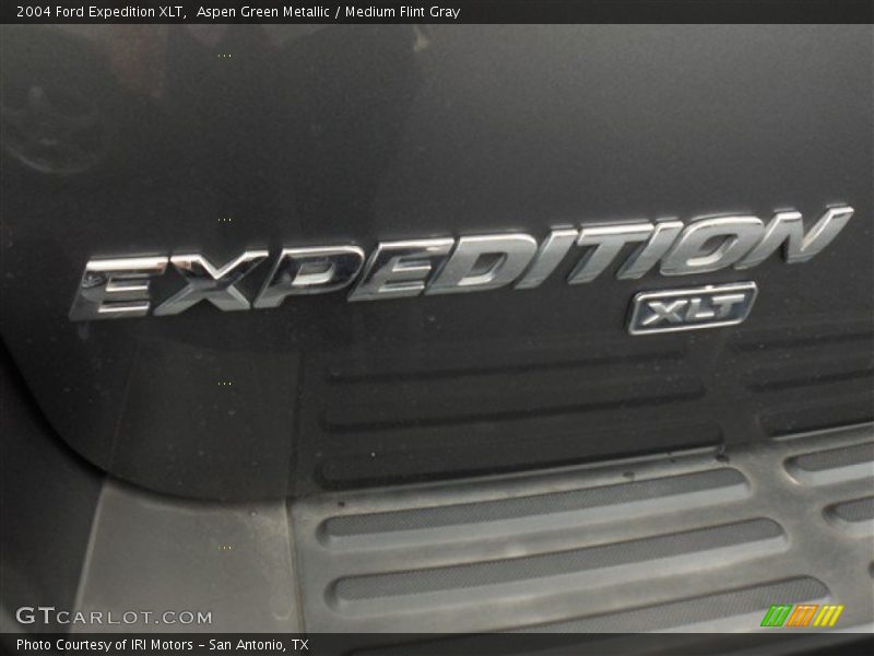 Aspen Green Metallic / Medium Flint Gray 2004 Ford Expedition XLT