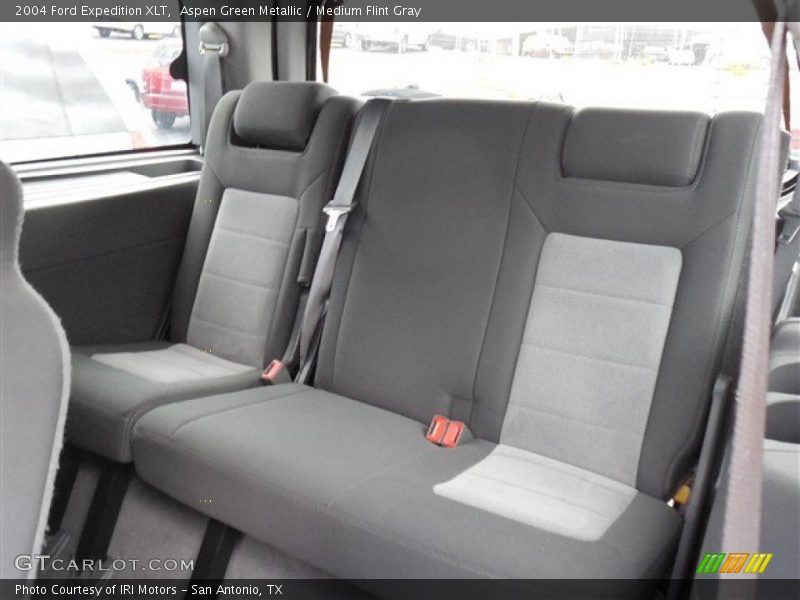 Aspen Green Metallic / Medium Flint Gray 2004 Ford Expedition XLT