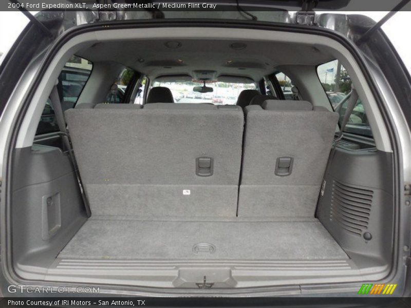 Aspen Green Metallic / Medium Flint Gray 2004 Ford Expedition XLT