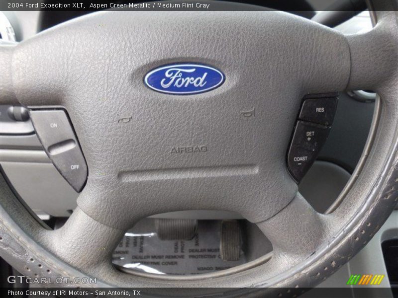 Aspen Green Metallic / Medium Flint Gray 2004 Ford Expedition XLT