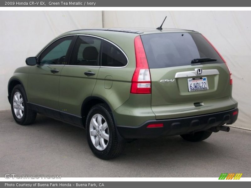 Green Tea Metallic / Ivory 2009 Honda CR-V EX