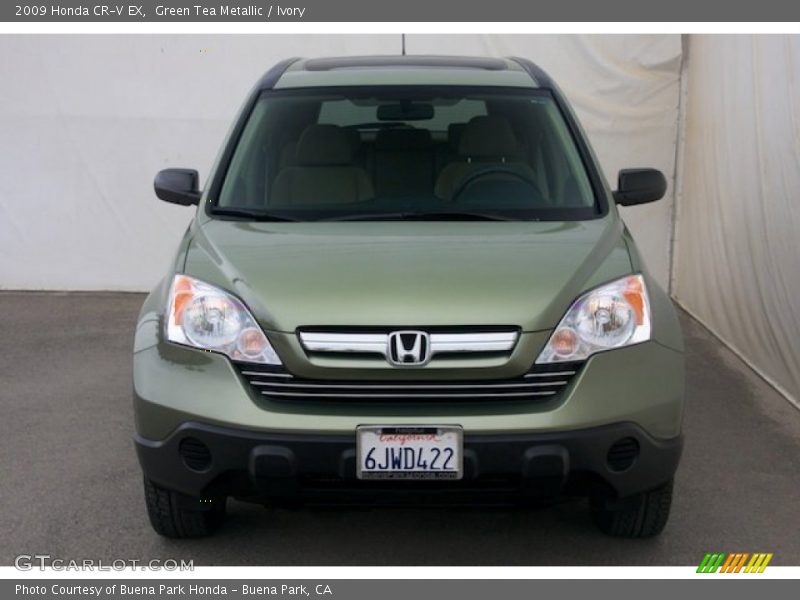 Green Tea Metallic / Ivory 2009 Honda CR-V EX
