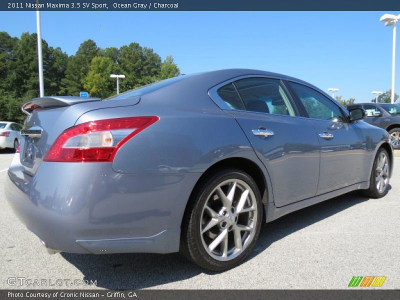 Ocean Gray / Charcoal 2011 Nissan Maxima 3.5 SV Sport