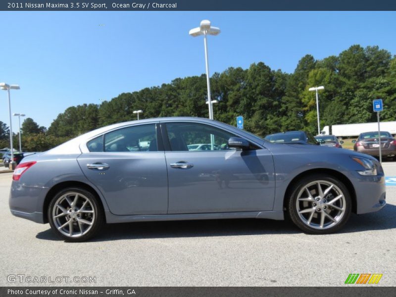 Ocean Gray / Charcoal 2011 Nissan Maxima 3.5 SV Sport