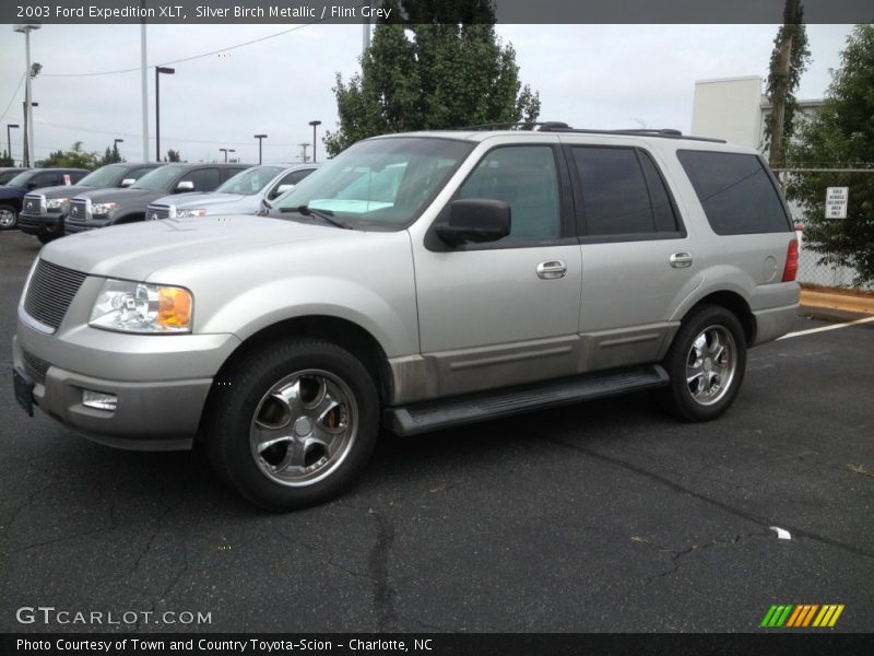 Silver Birch Metallic / Flint Grey 2003 Ford Expedition XLT