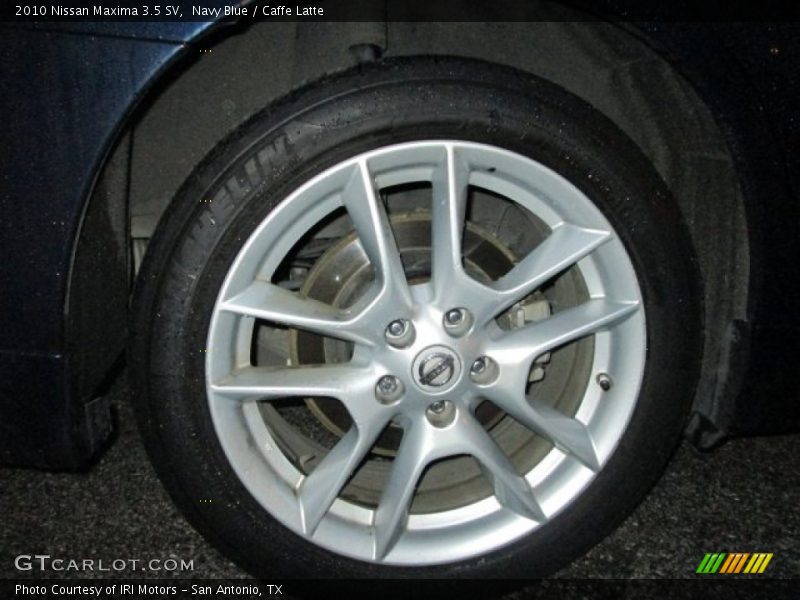 Navy Blue / Caffe Latte 2010 Nissan Maxima 3.5 SV