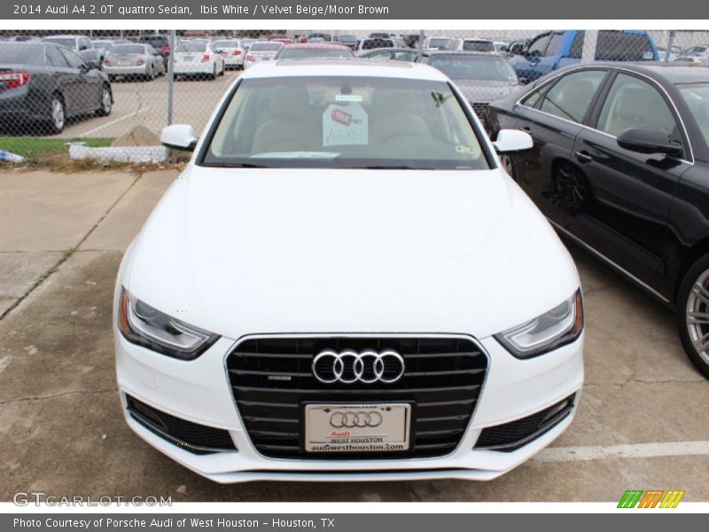 Ibis White / Velvet Beige/Moor Brown 2014 Audi A4 2.0T quattro Sedan