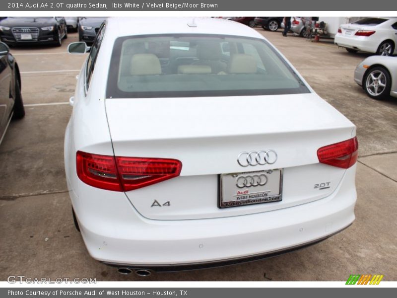 Ibis White / Velvet Beige/Moor Brown 2014 Audi A4 2.0T quattro Sedan