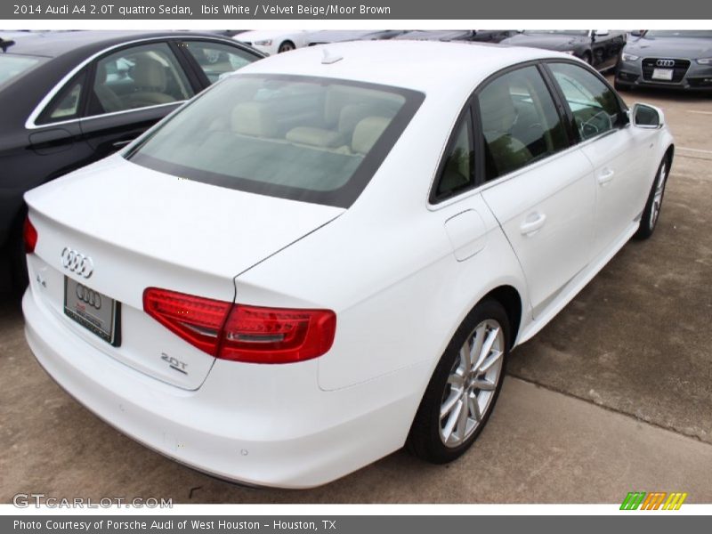 Ibis White / Velvet Beige/Moor Brown 2014 Audi A4 2.0T quattro Sedan