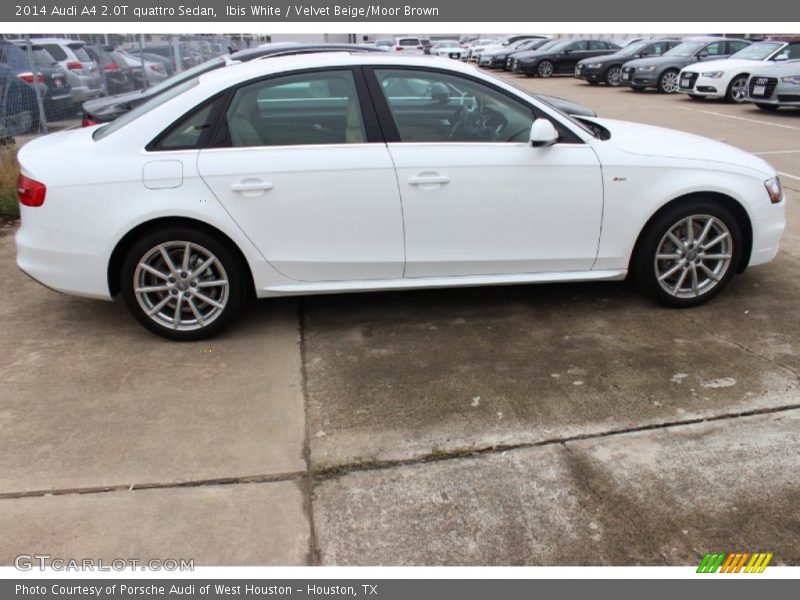 Ibis White / Velvet Beige/Moor Brown 2014 Audi A4 2.0T quattro Sedan