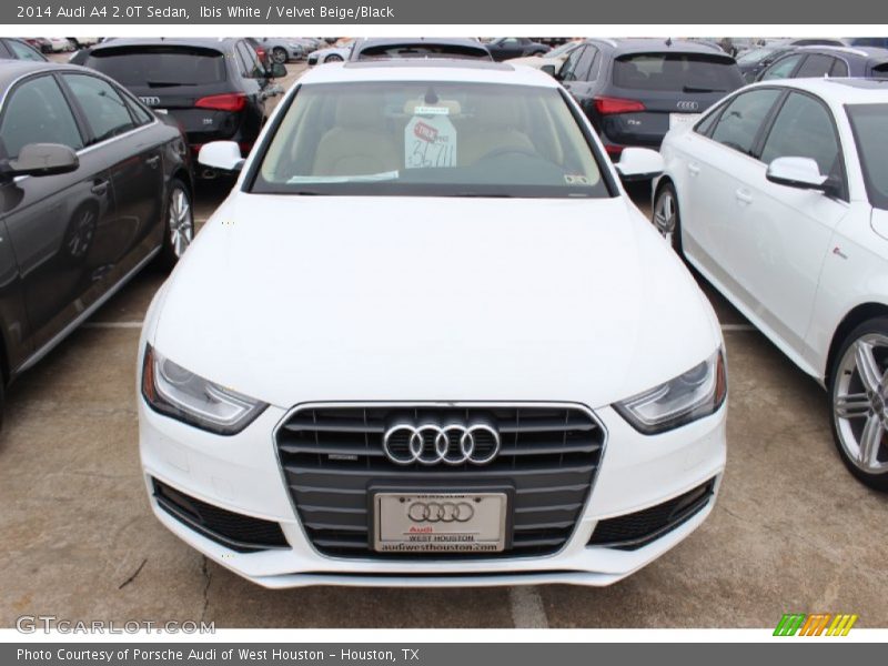 Ibis White / Velvet Beige/Black 2014 Audi A4 2.0T Sedan