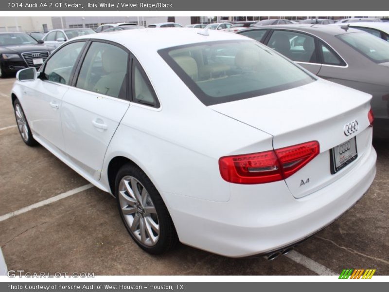 Ibis White / Velvet Beige/Black 2014 Audi A4 2.0T Sedan