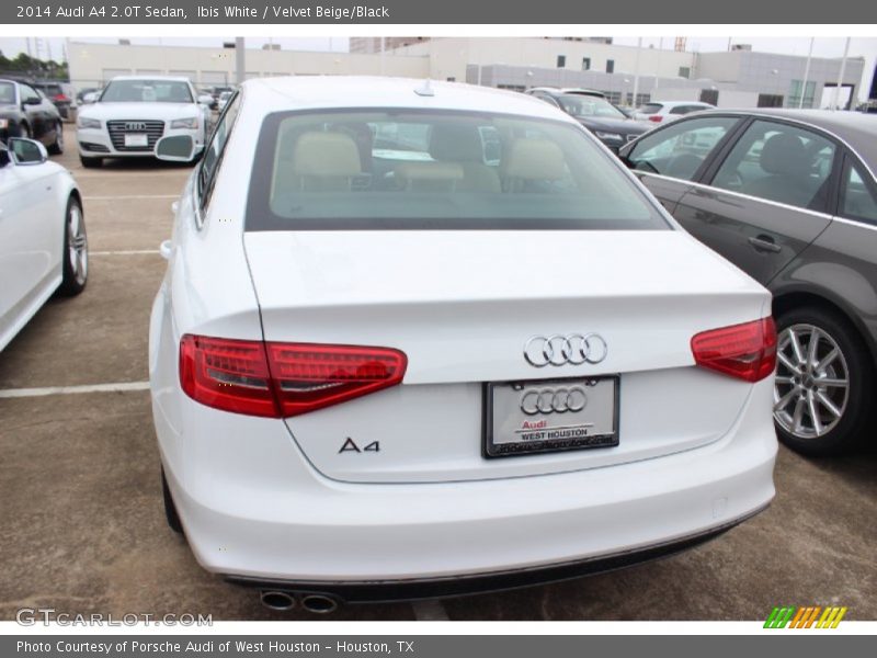 Ibis White / Velvet Beige/Black 2014 Audi A4 2.0T Sedan