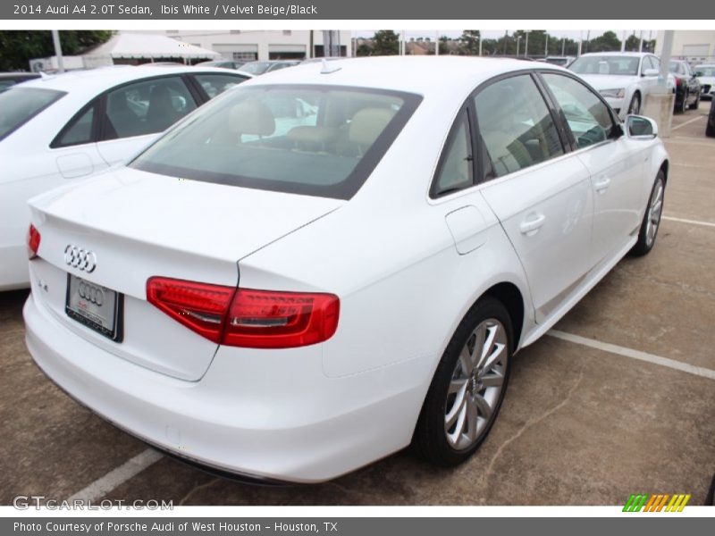 Ibis White / Velvet Beige/Black 2014 Audi A4 2.0T Sedan