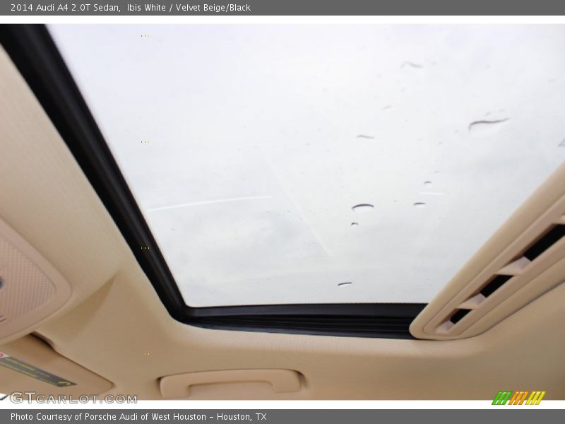 Ibis White / Velvet Beige/Black 2014 Audi A4 2.0T Sedan