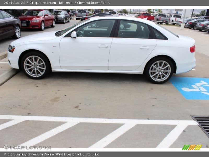 Ibis White / Chestnut Brown/Black 2014 Audi A4 2.0T quattro Sedan