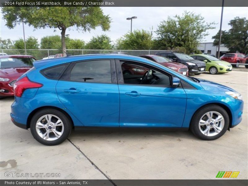 Blue Candy / Charcoal Black 2014 Ford Focus SE Hatchback