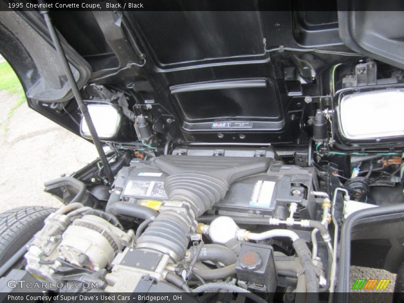 Black / Black 1995 Chevrolet Corvette Coupe