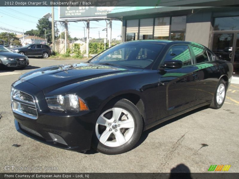 Blackberry Pearl / Black 2012 Dodge Charger SE