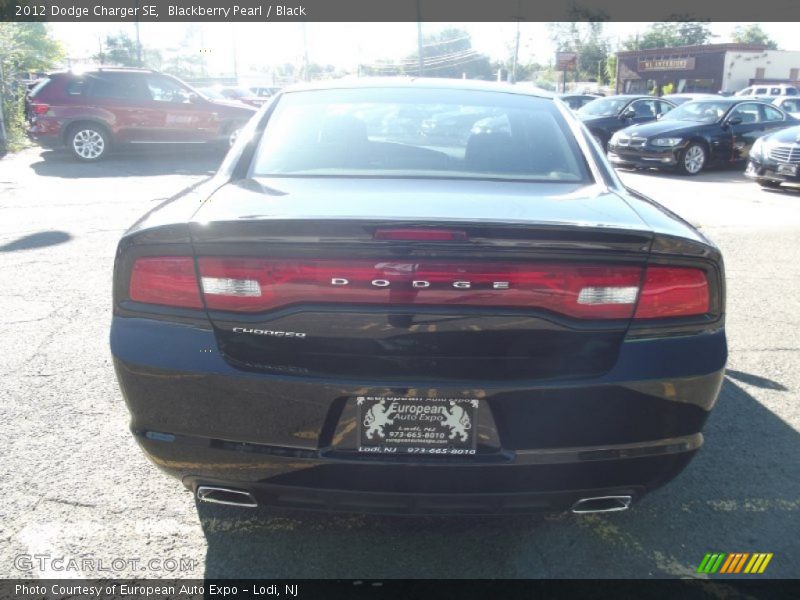 Blackberry Pearl / Black 2012 Dodge Charger SE