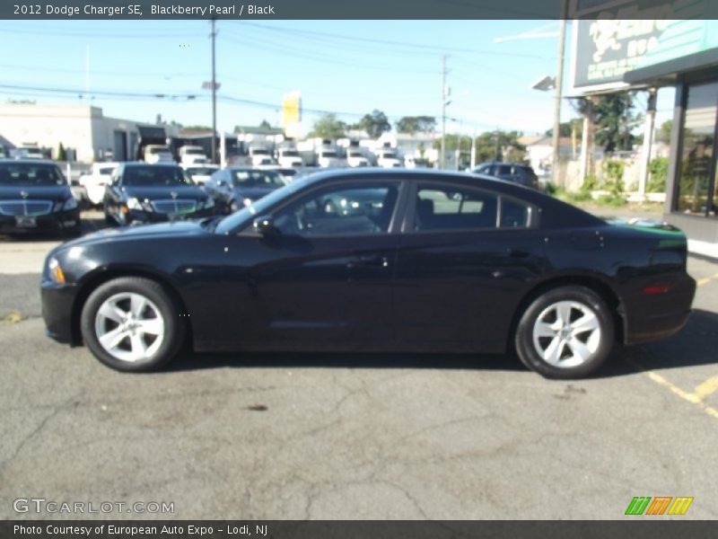 Blackberry Pearl / Black 2012 Dodge Charger SE