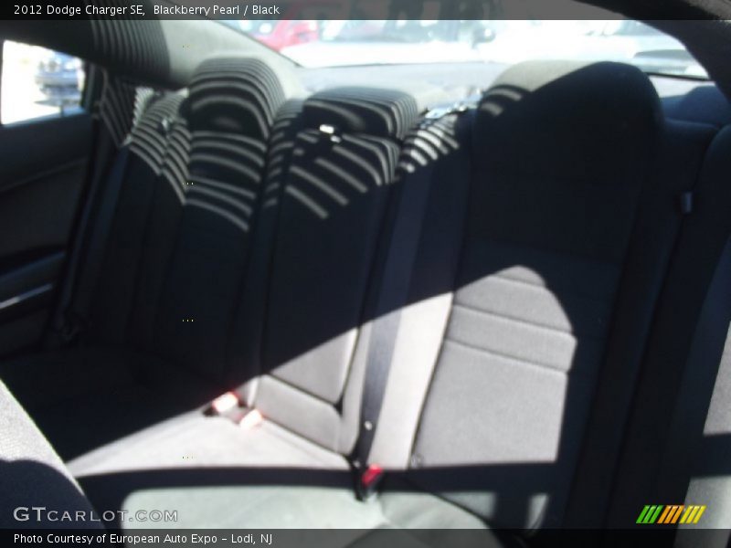Blackberry Pearl / Black 2012 Dodge Charger SE
