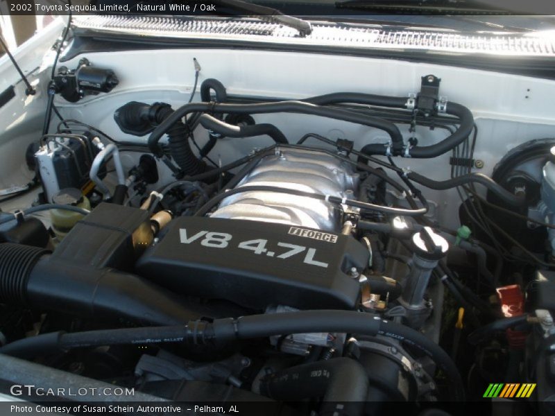 Natural White / Oak 2002 Toyota Sequoia Limited