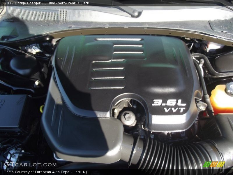 Blackberry Pearl / Black 2012 Dodge Charger SE