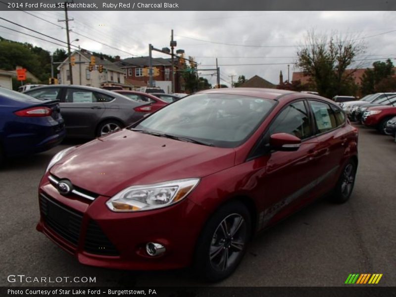 Ruby Red / Charcoal Black 2014 Ford Focus SE Hatchback