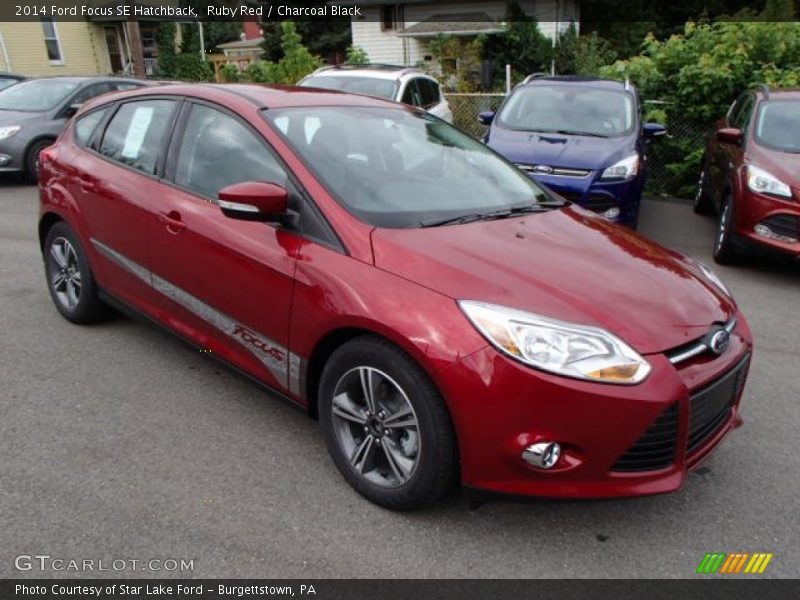 Ruby Red / Charcoal Black 2014 Ford Focus SE Hatchback