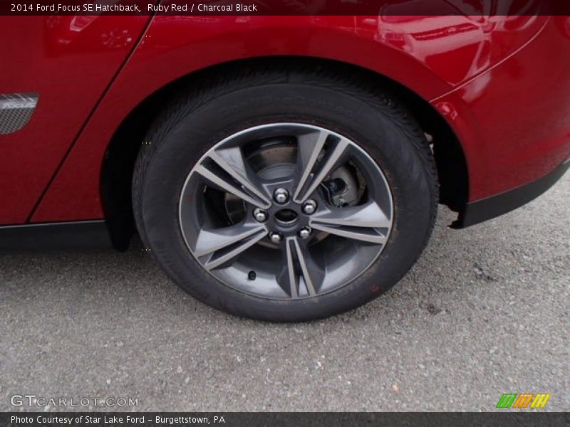 Ruby Red / Charcoal Black 2014 Ford Focus SE Hatchback