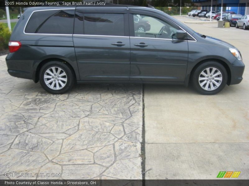 Sage Brush Pearl / Ivory 2005 Honda Odyssey Touring