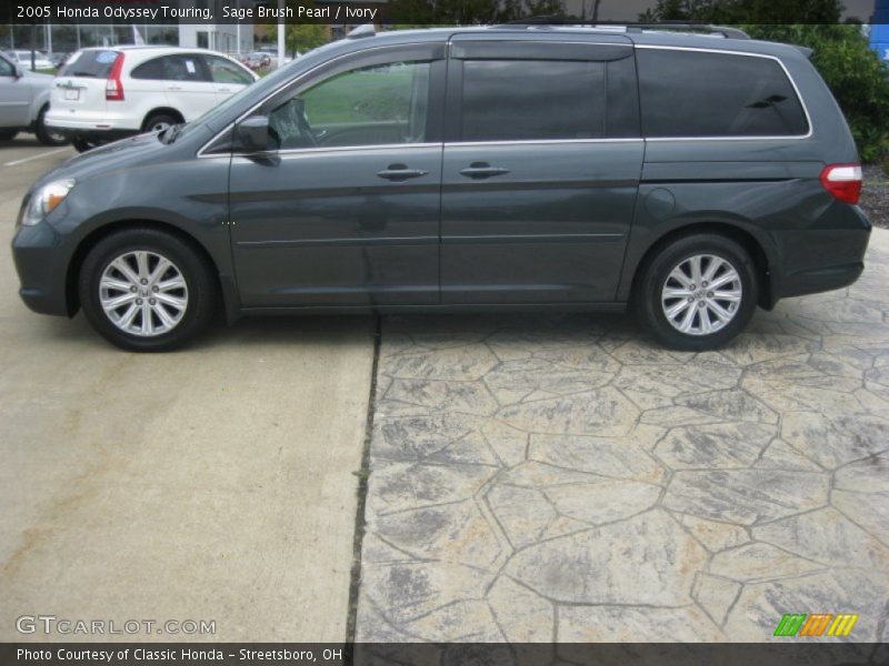 Sage Brush Pearl / Ivory 2005 Honda Odyssey Touring