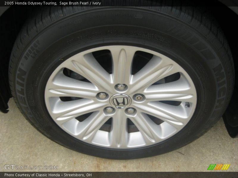 Sage Brush Pearl / Ivory 2005 Honda Odyssey Touring
