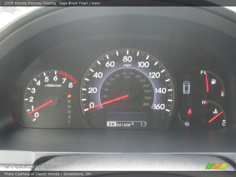 Sage Brush Pearl / Ivory 2005 Honda Odyssey Touring