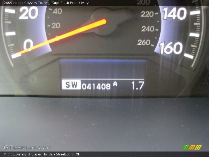 Sage Brush Pearl / Ivory 2005 Honda Odyssey Touring