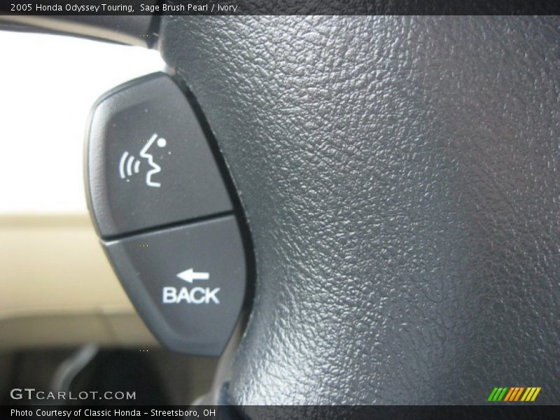 Sage Brush Pearl / Ivory 2005 Honda Odyssey Touring